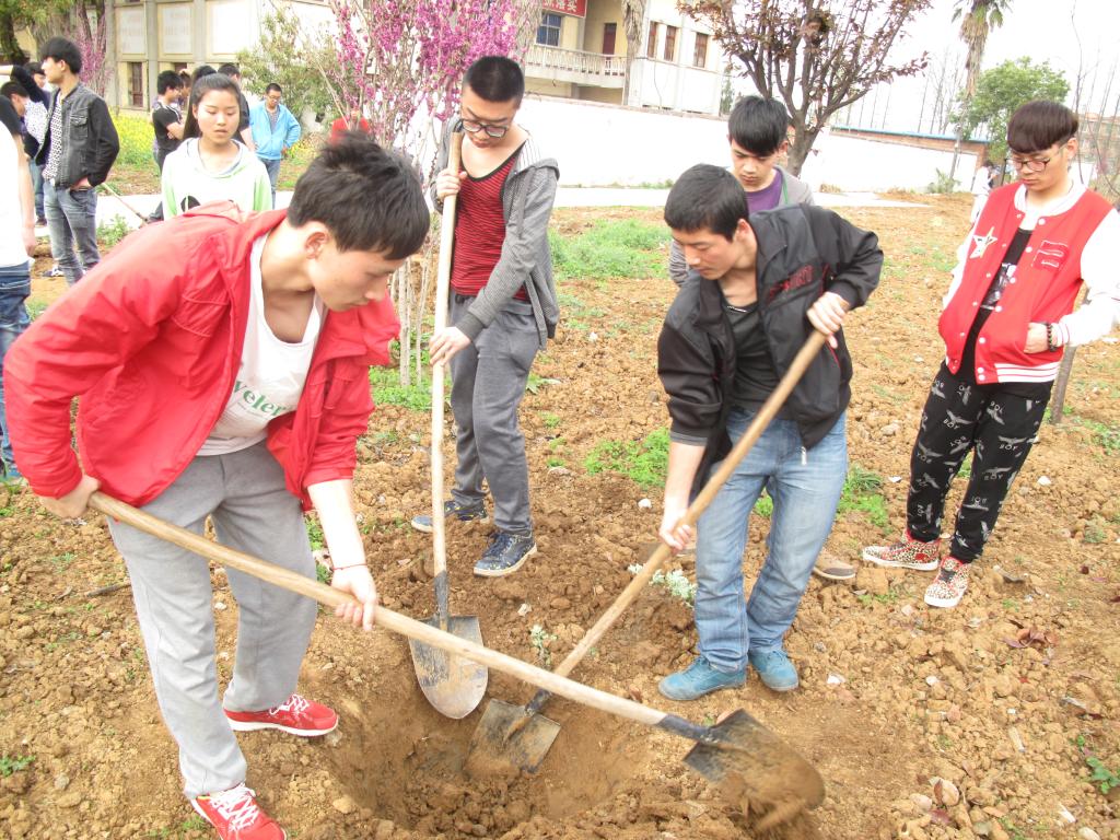 学生植树前准备