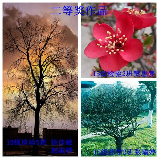 http://www.hzvtc.cn/_mediafile/hzvtc/2016/03/29/2ywaelp68m.jpg